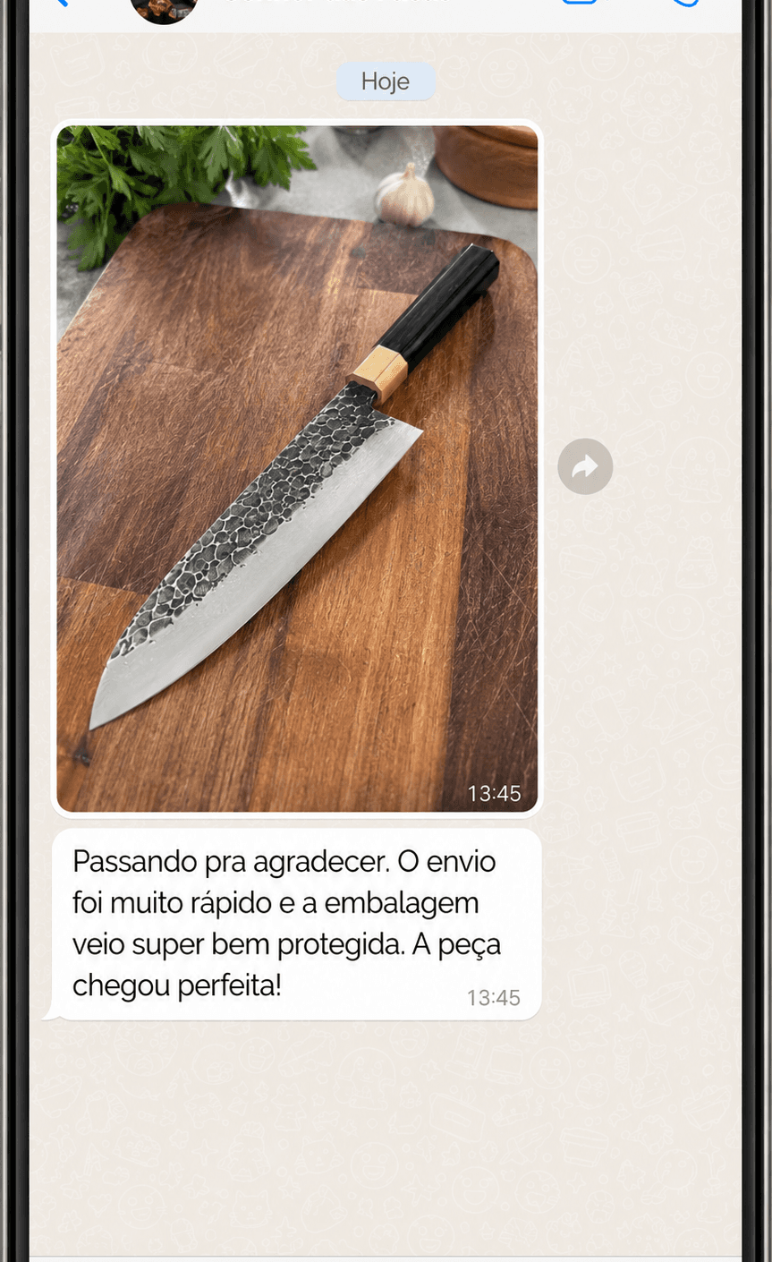 Print da conversa: Passando pra agradecer. O envio foi muito rápido e a embalagem veio super bem protegida. A peça chegou perfeita!
